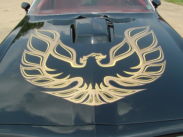 Pontiac used a few different styles and types of hood birds as well as deca...